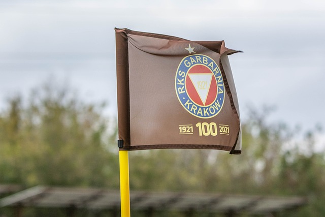 这不仅提升 这不仅提升