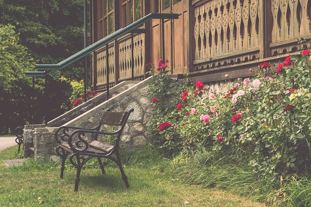 面統治力 面統治力