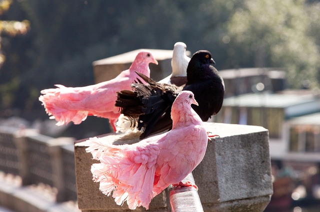 迎來豐厚獎 迎來豐厚獎