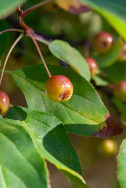 利用边路进 利用边路进
